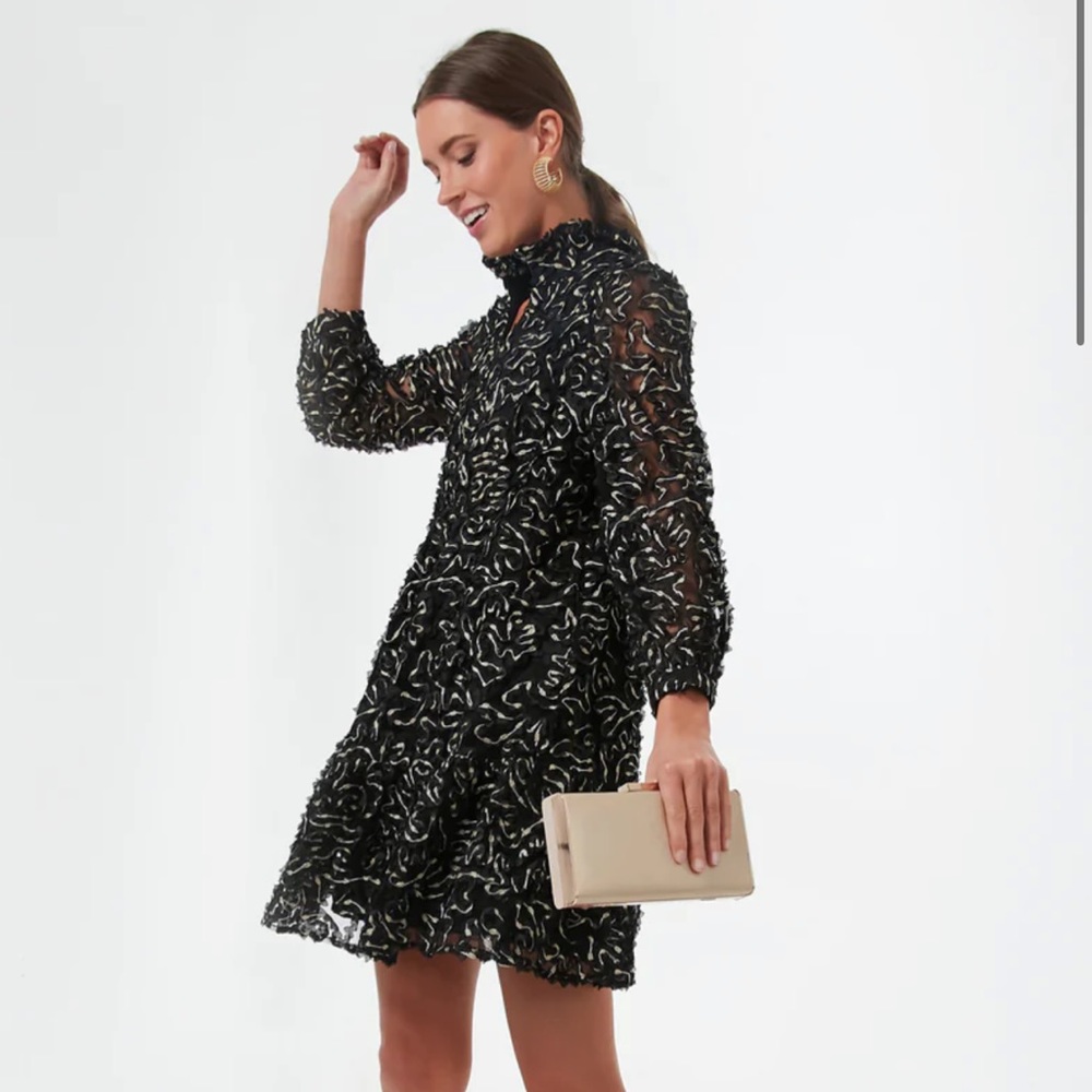 Nightly organza Palmerston dress